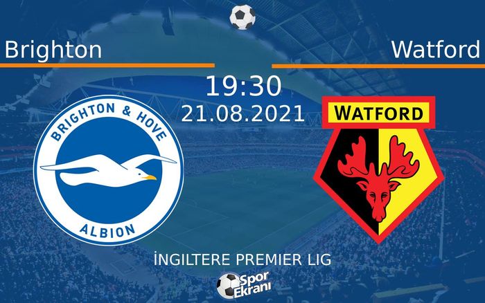 21 Ağustos 2021 Brighton vs Watford maçı Hangi Kanalda Saat Kaçta Yayınlanacak?