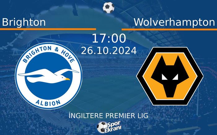 26 Ekim 2024 Brighton vs Wolverhampton maçı Hangi Kanalda Saat Kaçta Yayınlanacak? 26 Ekim 2024 Brighton vs Wolverhampton maçı Hangi Kanalda Saat Kaçta Yayınlanacak?