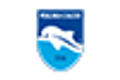 pescaracalcio.com