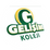 Gelişim Koleji