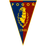Pogon Szczecin