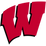 Wisconsin Badgers